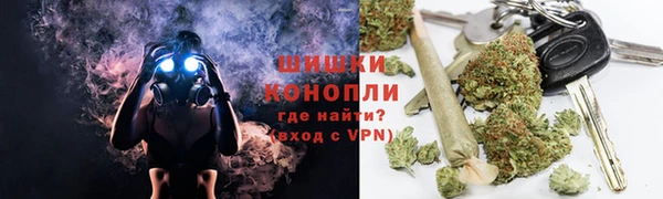 стаф Арсеньев