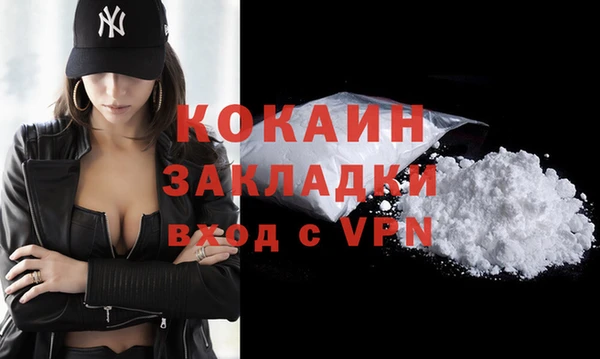 стаф Арсеньев