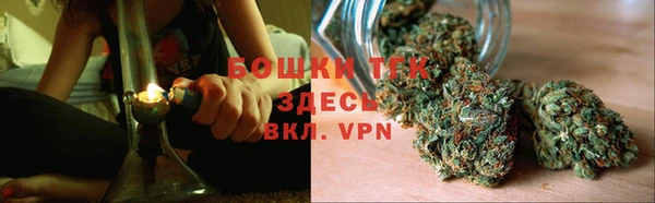 стаф Арсеньев