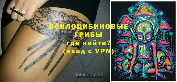 стаф Арсеньев