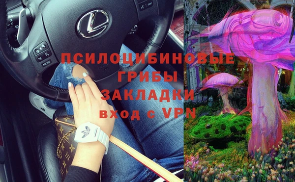 хмурый Армянск