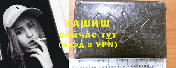 стаф Арсеньев