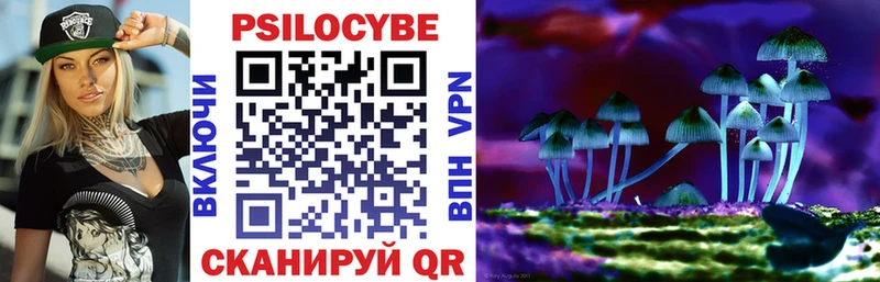 omg зеркало  где найти   Бутурлиновка  Галлюциногенные грибы Psilocybe 